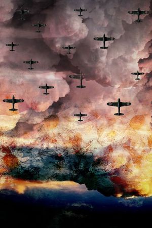 飞机印花华亿平台图片