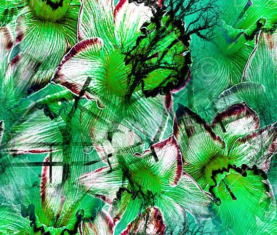 花卉印花华亿平台图片