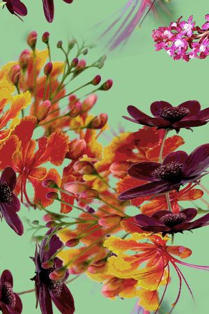 花卉印花华亿平台图片