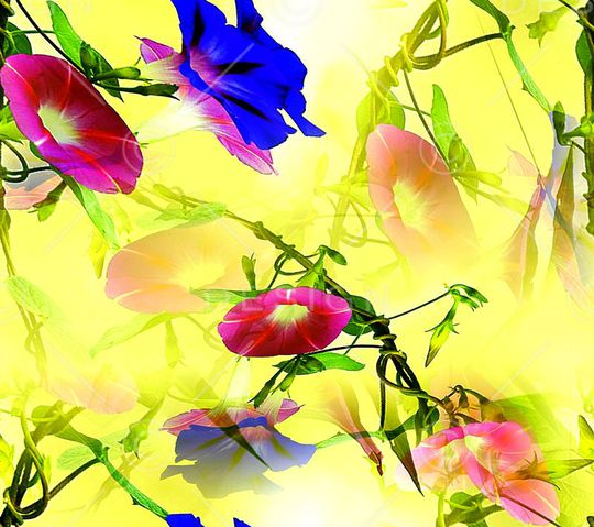 花卉印花华亿平台图片