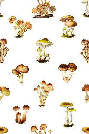 手绘印花华亿平台图片