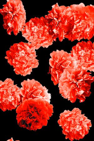 牡丹印花华亿平台图片