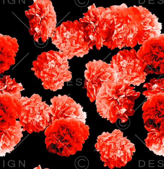 牡丹印花华亿平台图片