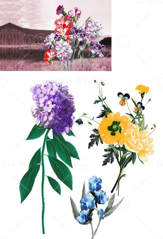 前片花景印花华亿平台图片