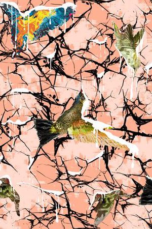 蜂鸟印花华亿平台图片