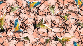 417540-潮流蜂鸟玻璃纹蜘蛛网印花图