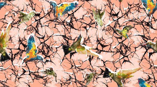 蜂鸟印花华亿平台图片