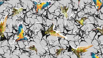 417543-潮流蜂鸟玻璃纹蜘蛛网印花图