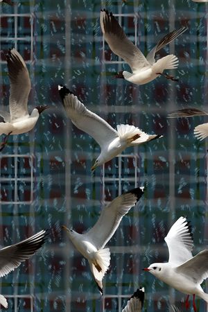 时尚印花华亿平台图片