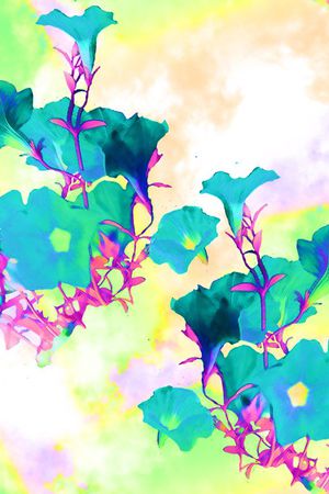 花瓣印花华亿平台图片