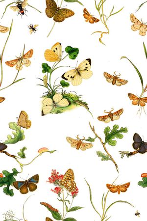 素雅印花华亿平台图片