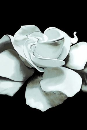 灰白花印花华亿平台图片