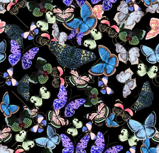 前上(60CM）印花华亿平台图片