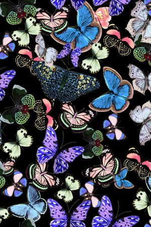 前上(60CM）印花华亿平台图片