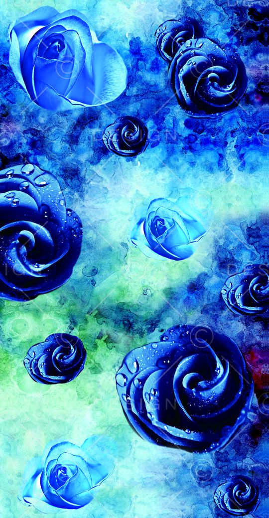 蓝玫瑰上下循环印花华亿平台图片
