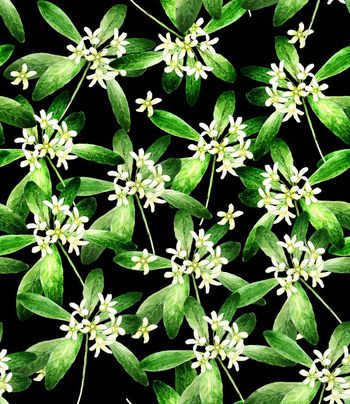 418003-清新复古叶子湖流服装华亿平台