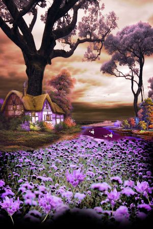 梦幻印花华亿平台图片