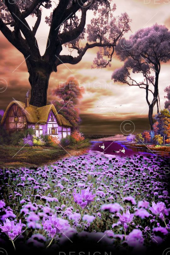 梦幻印花华亿平台图片