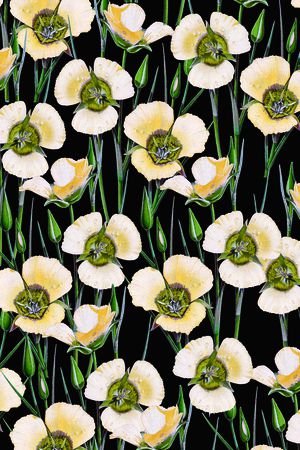 时尚印花华亿平台图片