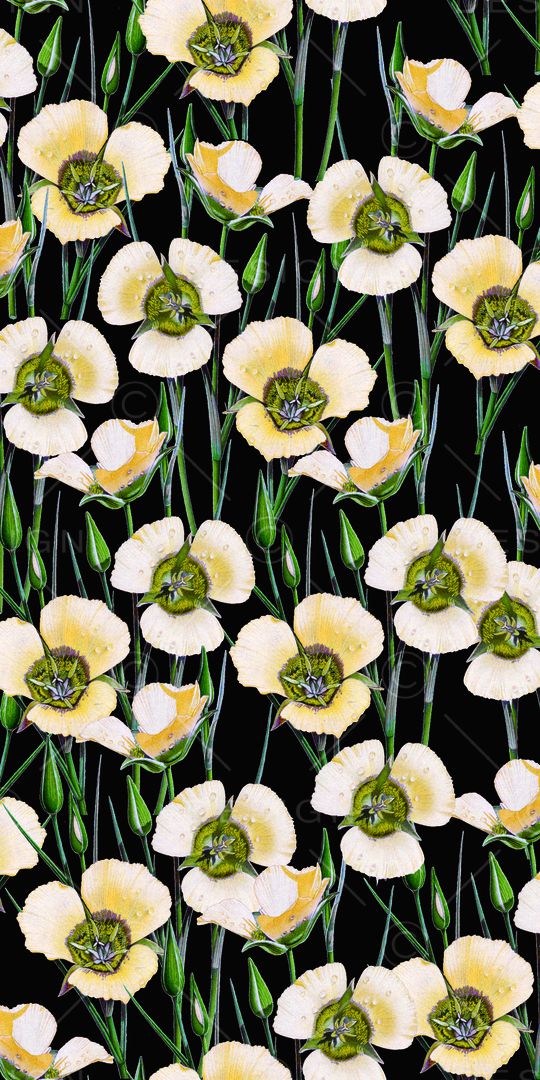 时尚印花华亿平台图片