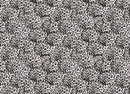 豹纹印花华亿平台图片