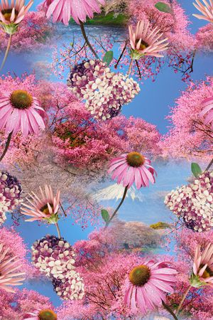 日系印花华亿平台图片