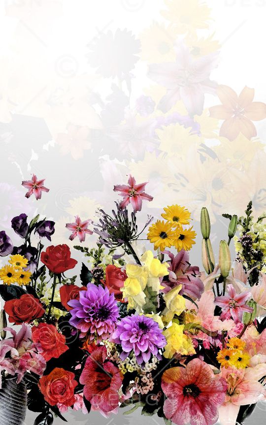 春夏印花华亿平台图片