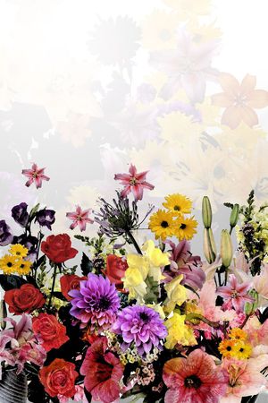 春夏印花华亿平台图片