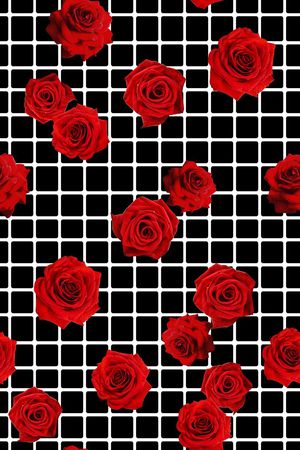 半身裙印花华亿平台图片