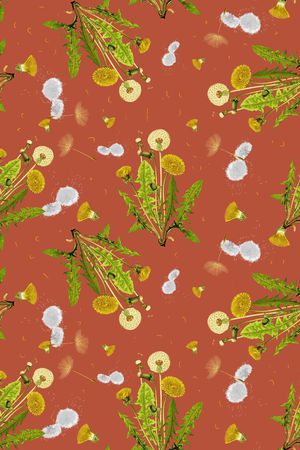 女装印花华亿平台图片