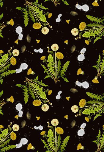 418380-时尚手绘女装大牌蒲公英数码印花