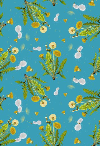 418382-时尚手绘女装大牌蒲公英数码印花