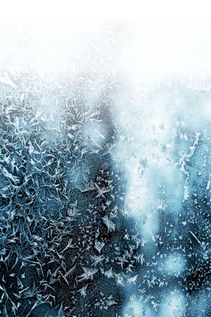 独特印花华亿平台图片