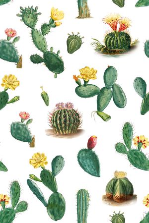 热带风印花华亿平台图片