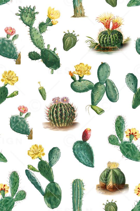 热带风印花华亿平台图片