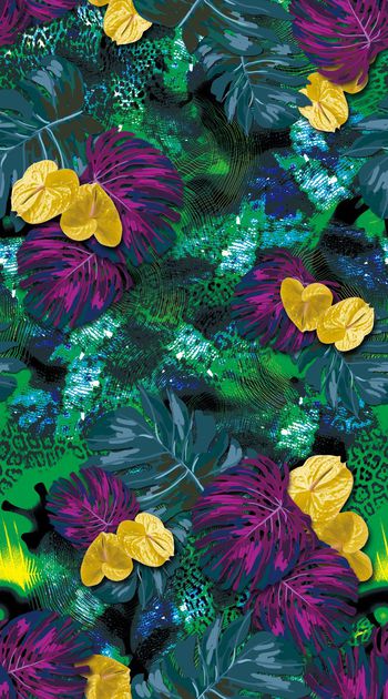 418506-豹纹 蜘蛛网 棕榈 树叶 热带花卉