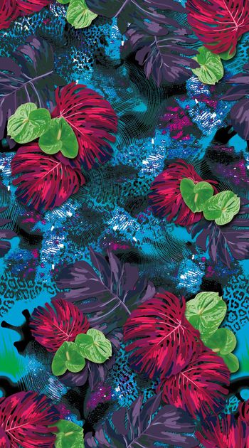 418508-豹纹 蜘蛛网 棕榈 树叶 热带花卉