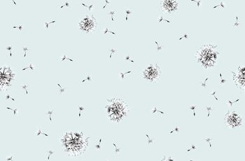 418519-传统男女装衬衫蒲公英单色印花