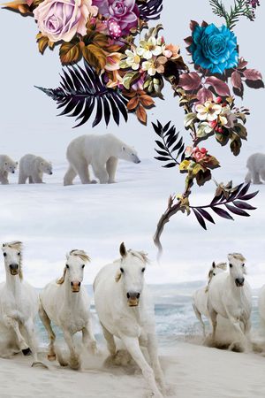 白马印花华亿平台图片