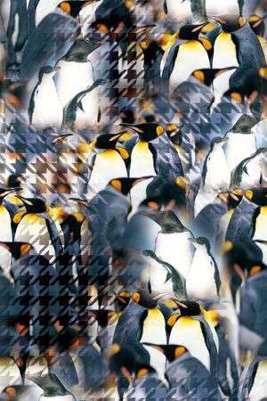 服装印花华亿平台图片