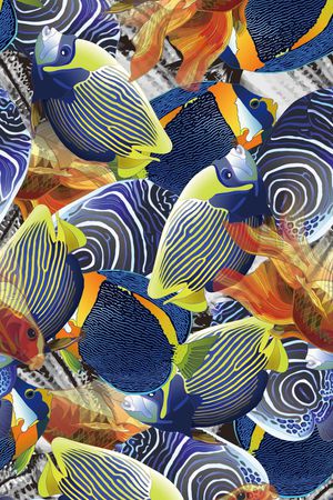 海鱼印花华亿平台图片