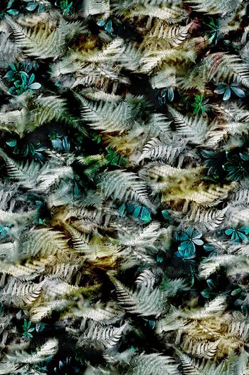 418647-男衬衫数码印花