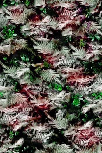 418648-男衬衫数码印花