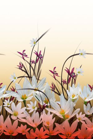 定位印花华亿平台图片