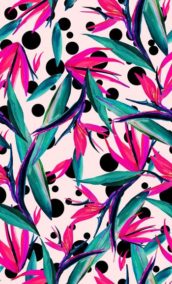 418705-花卉 天堂鸟循环