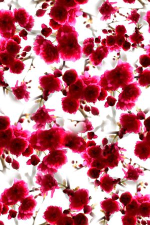 写实印花华亿平台图片