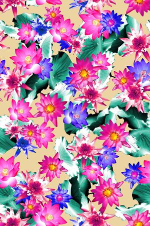 荷花印花华亿平台图片