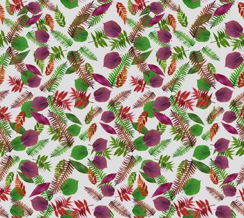 418881-时尚写意叶子华亿平台