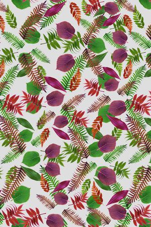 叶子印花华亿平台图片