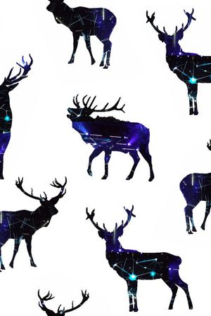 休闲印花华亿平台图片